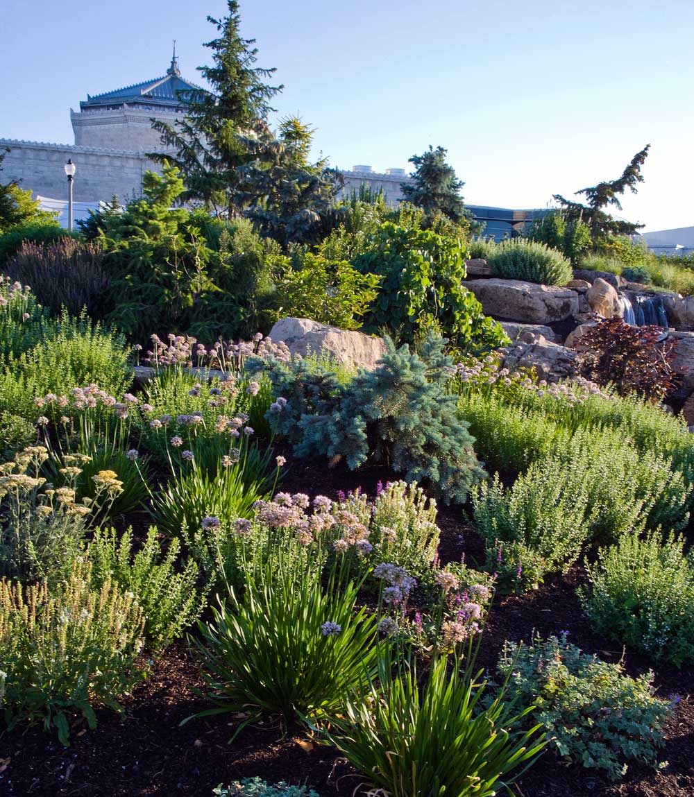 ILCA | Sustainable Landscaping